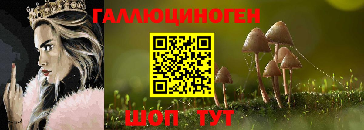 Псилоцибиновые грибы Cubensis  Псилоцибиновые грибы мицелий  наркошоп  Вход с VPN  Хабаровск 